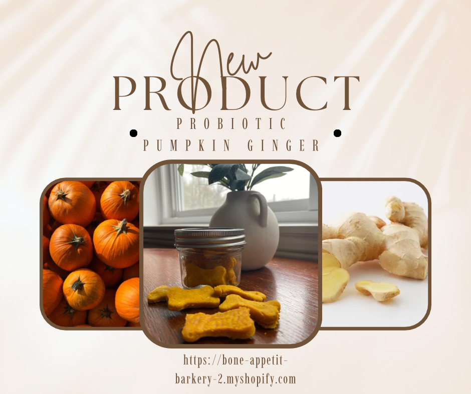 Pumpkin Ginger Biscuits