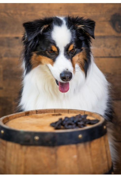 Dehydrated Beef Liver Bites